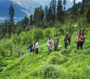 manali-tour-14